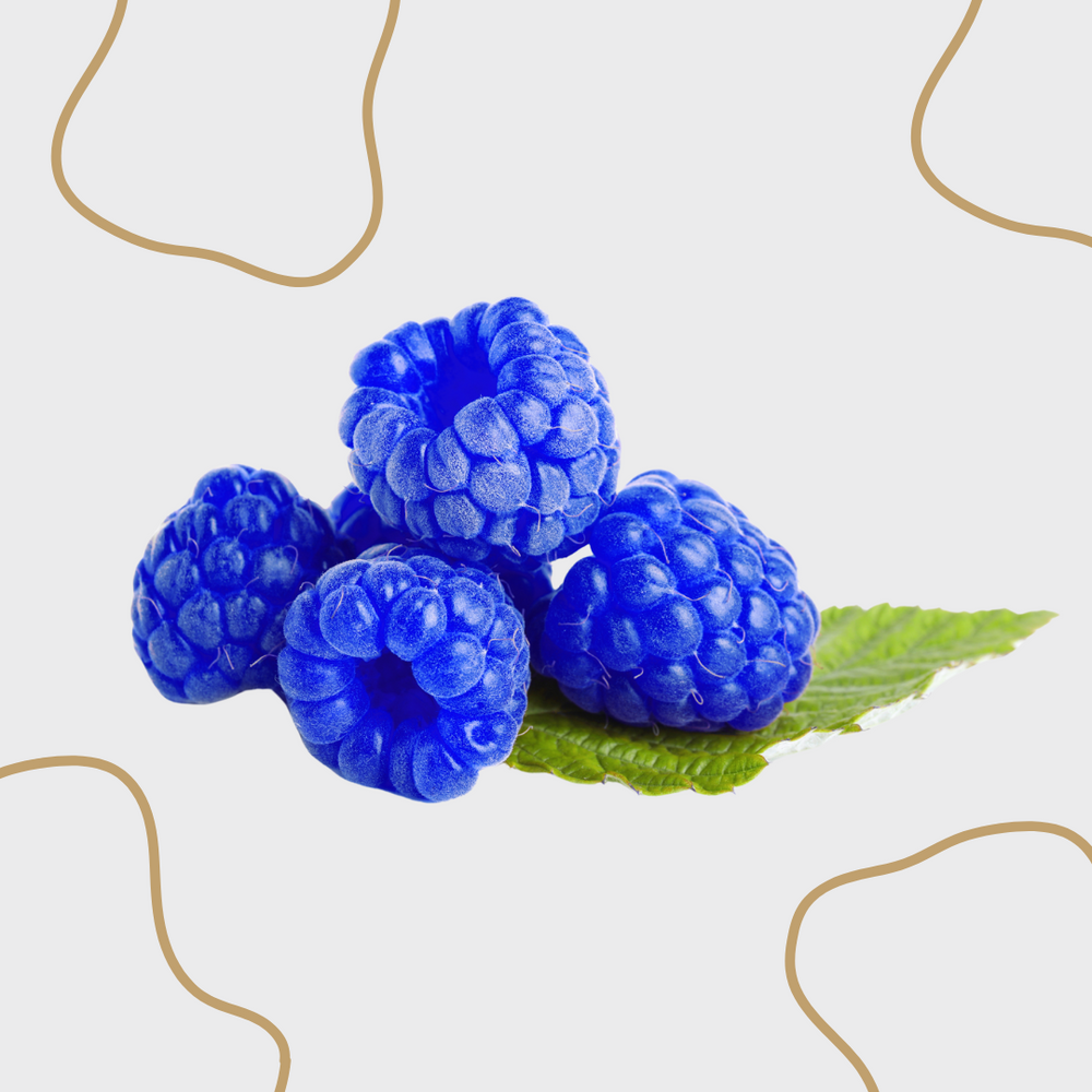 Blue Raspberry Slush Syrup (4 x 5L)