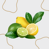 Lemon & Lime Slush Syrup (4 x 5L)